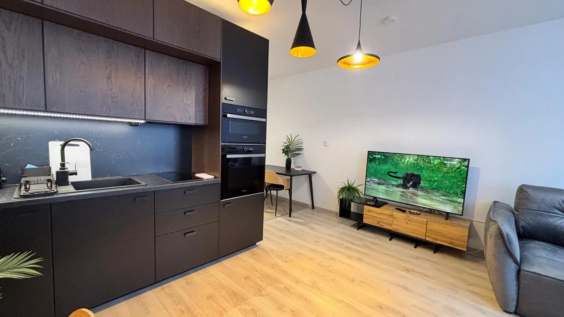 Budapest Spirit Apartments With Free Parking